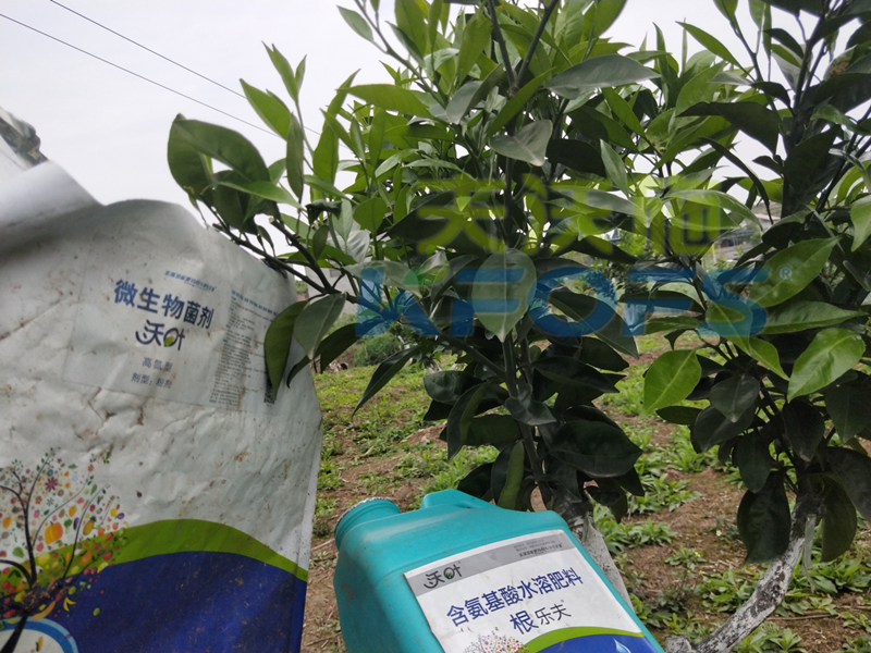 春季果樹用什么肥料好？看看您用對(duì)了嗎？