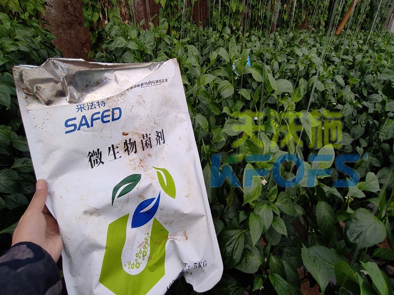 微生物菌劑，你不知道的秘密在這里！