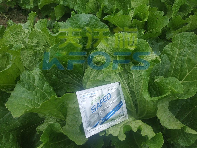 白菜葉面肥哪家好？