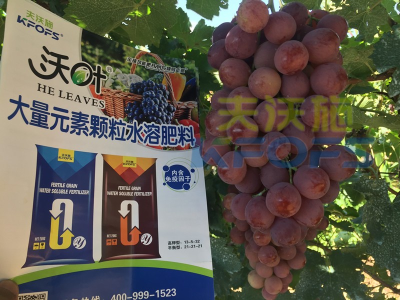 果樹(shù)沖施肥怎么樣沖，才能有好效果呢？