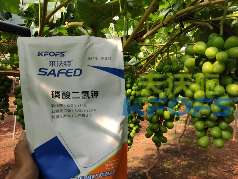 磷酸二氫鉀價(jià)格高低，看效果好壞！