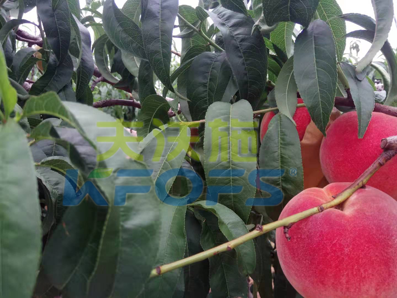 微生物菌劑哪個(gè)牌子好？你真的知道嗎？