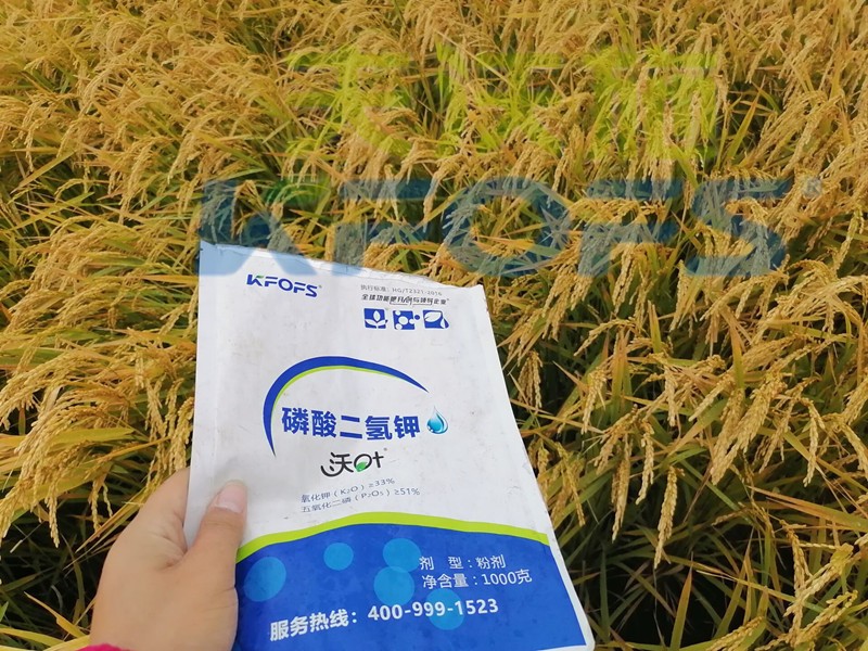 磷酸二氫鉀的功效和作用，這三點(diǎn)必看！