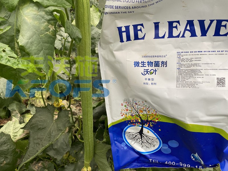 水溶肥價格差異大時，如何選擇？