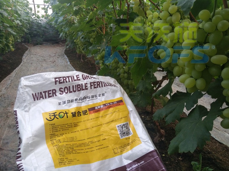 好的水溶肥都具備哪些品質(zhì)？