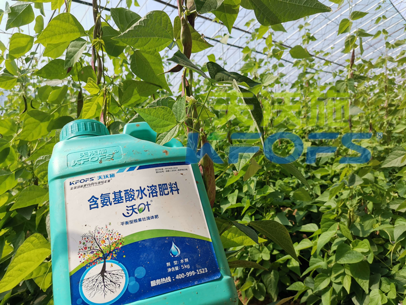 水溶肥什么樣的效果好？