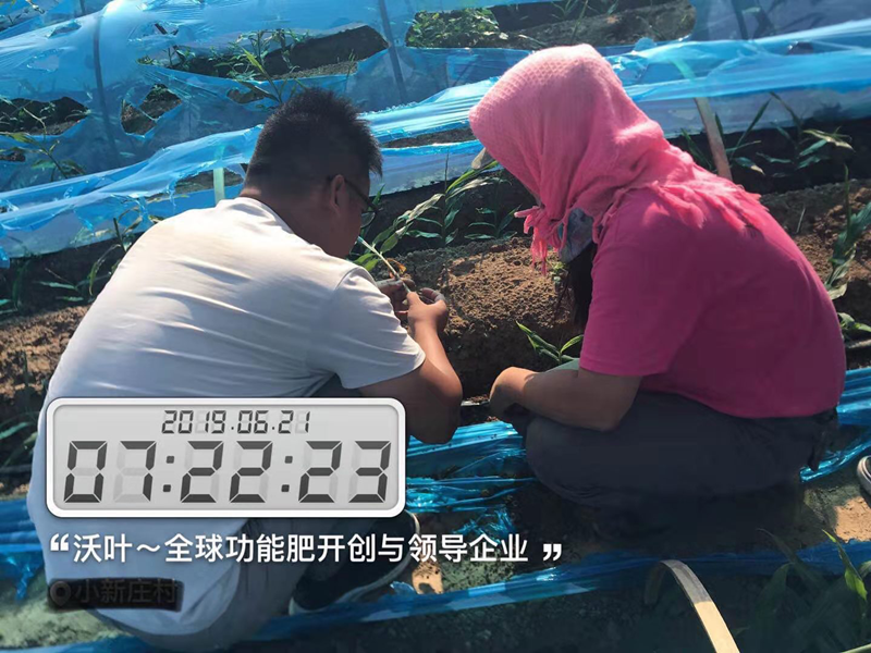 農(nóng)資銷售的堅硬壁壘將如何打破！.png