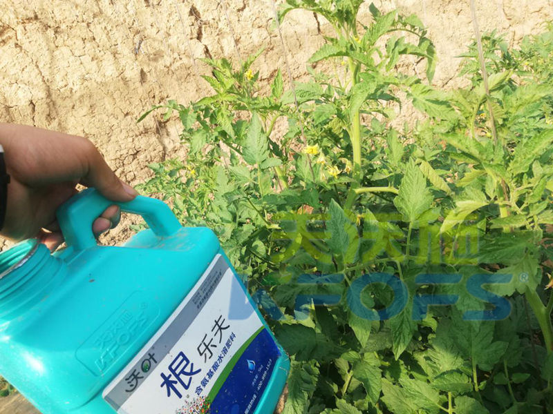 生根劑用多了燒根嗎？