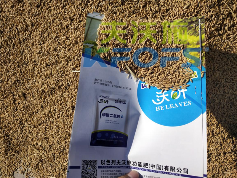 水溶肥哪家好？沃葉水溶肥效果怎么樣？