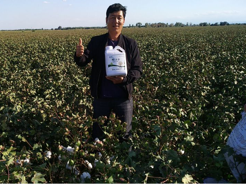 采法特水溶肥效果怎么樣？