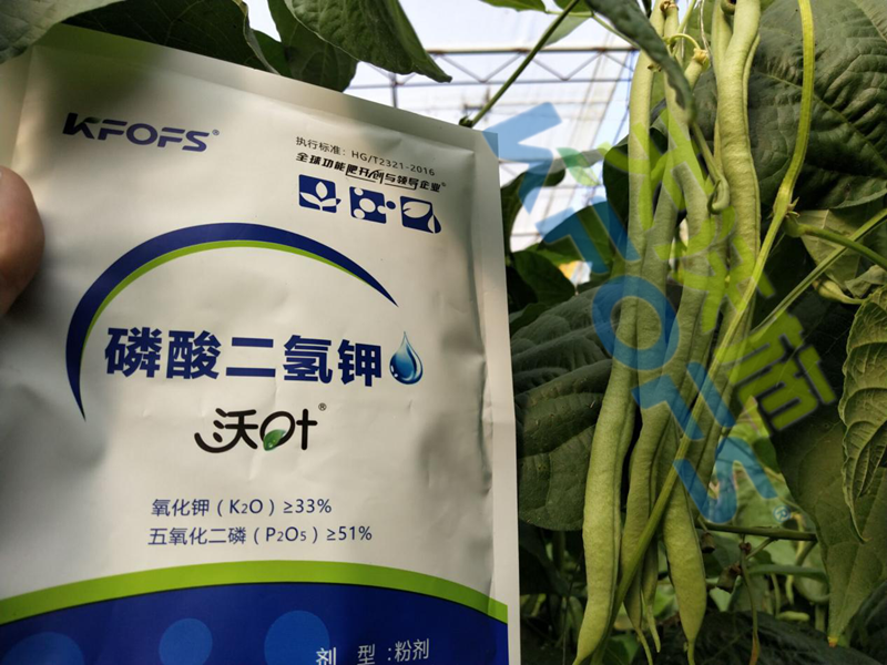 磷酸二氫鉀多少錢一噸？它們有什么差別？