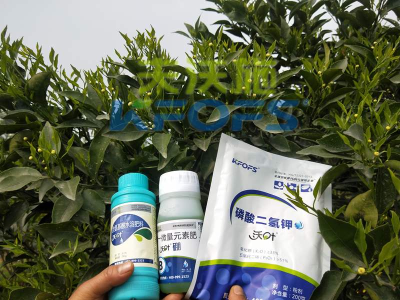 ?；ū９~面肥，你用對了嗎？