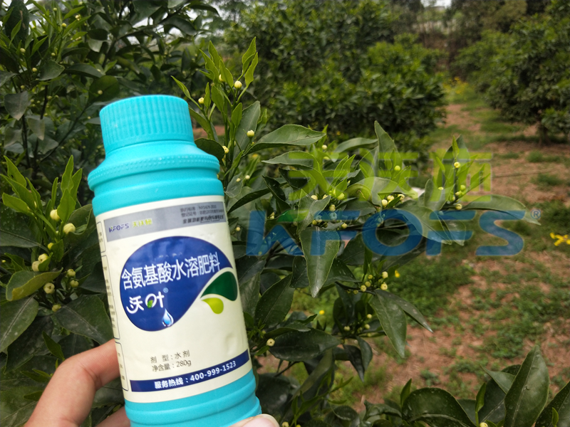 葉面肥是什么肥料，有哪些你不知道的秘密