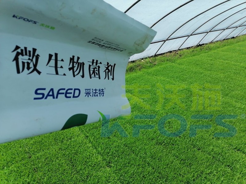 微生物菌劑作用大，改良土壤就靠它