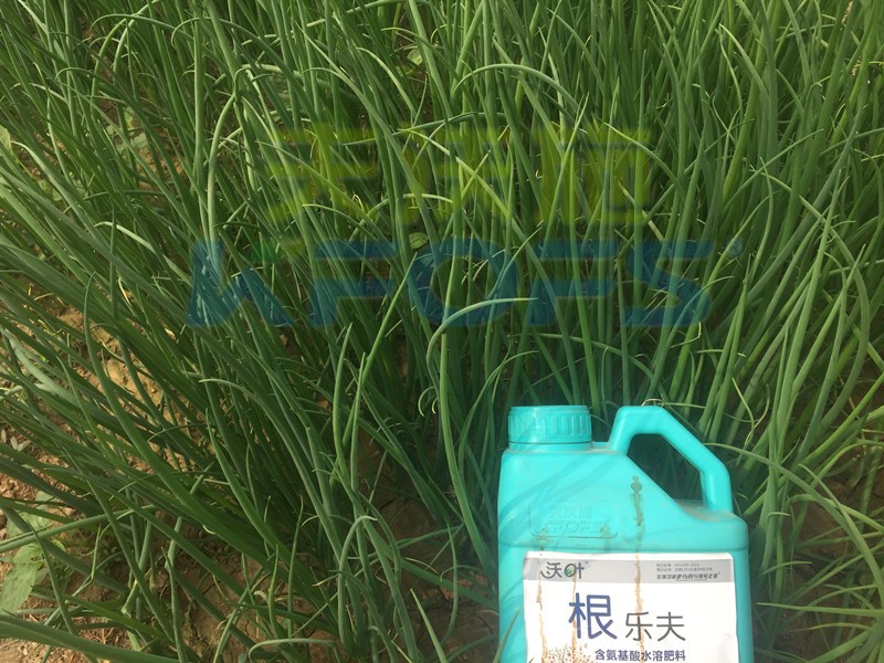 生根劑如何使用效果好，有保障呢？