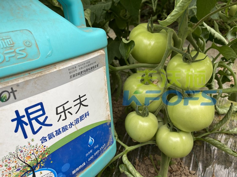 快速生根劑可以用嗎？