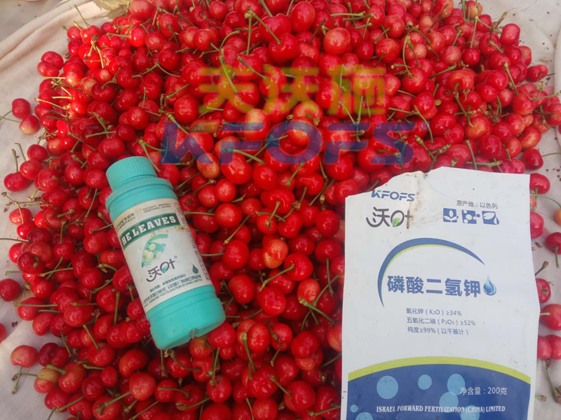 ?；ū９~面肥，哪個(gè)牌子好？