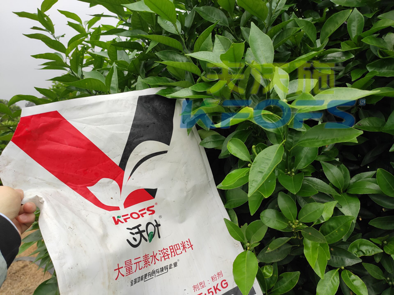 水溶肥的利弊，你了解多少？