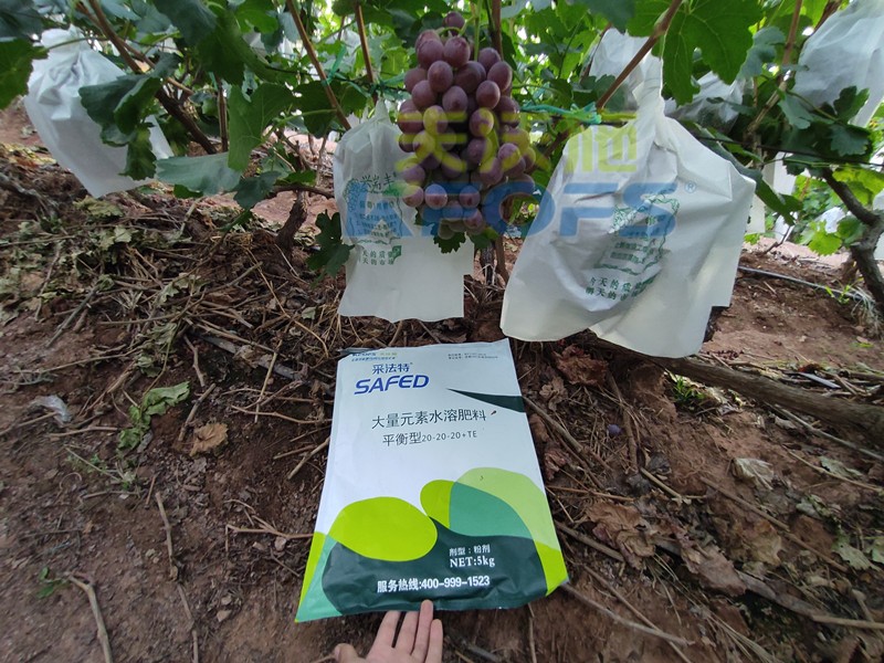 水溶肥料的價(jià)格高低取決于什么？
