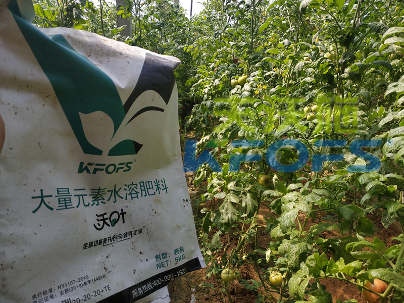 沃葉水溶肥怎么樣？為什么這么多人用？