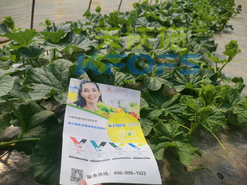 進(jìn)口水溶肥和國產(chǎn)水溶肥，二者如何選擇好