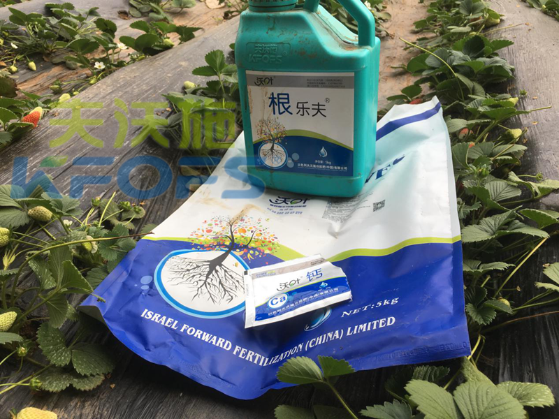 進(jìn)口水溶肥和國產(chǎn)水溶肥的區(qū)別，說的很清楚