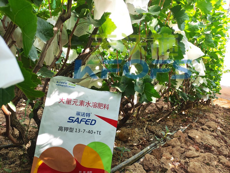 水溶肥品牌選它，就對(duì)了