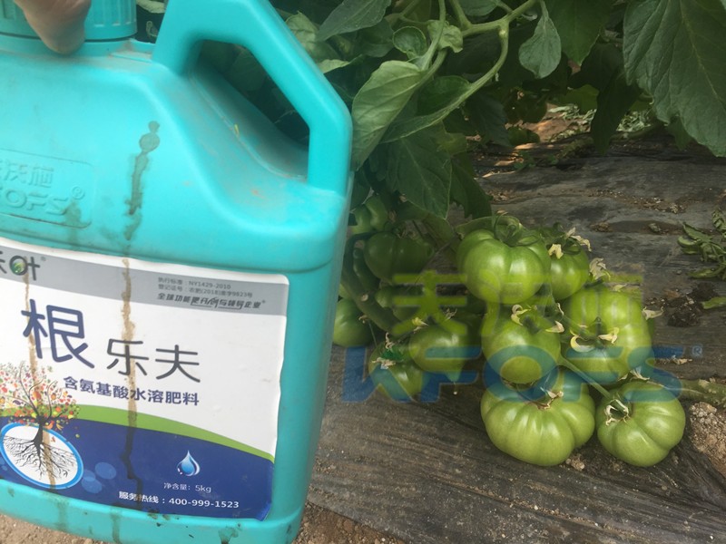 夫沃施沃葉水溶肥，受歡迎的幾點(diǎn)
