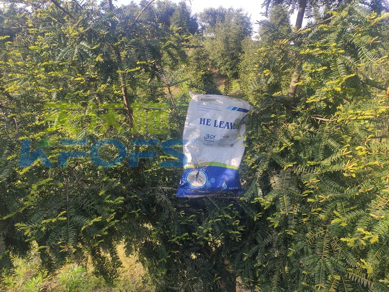 水溶肥為什么比復(fù)合肥好？有哪些區(qū)別