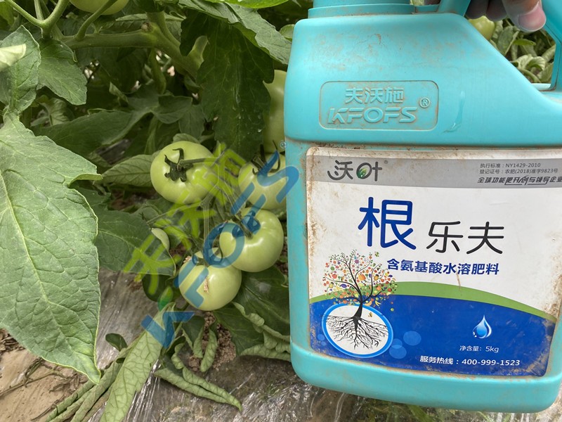 水溶肥品牌哪家好，如何找尋增產(chǎn)增效產(chǎn)品