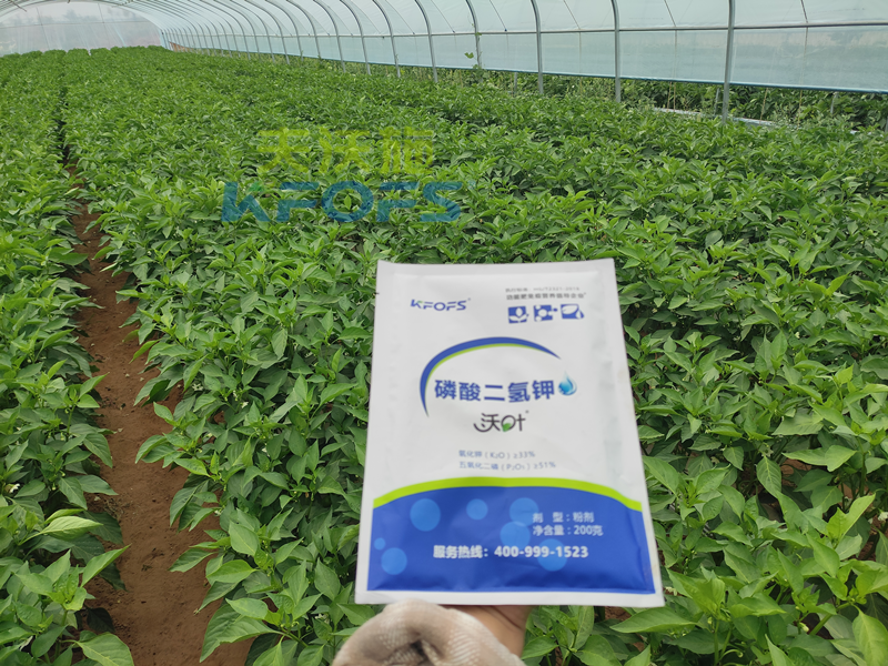 磷酸二氫鉀怎么用？這篇說到點(diǎn)子上了！