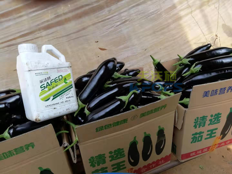 水溶肥效果怎么樣？哪家好？