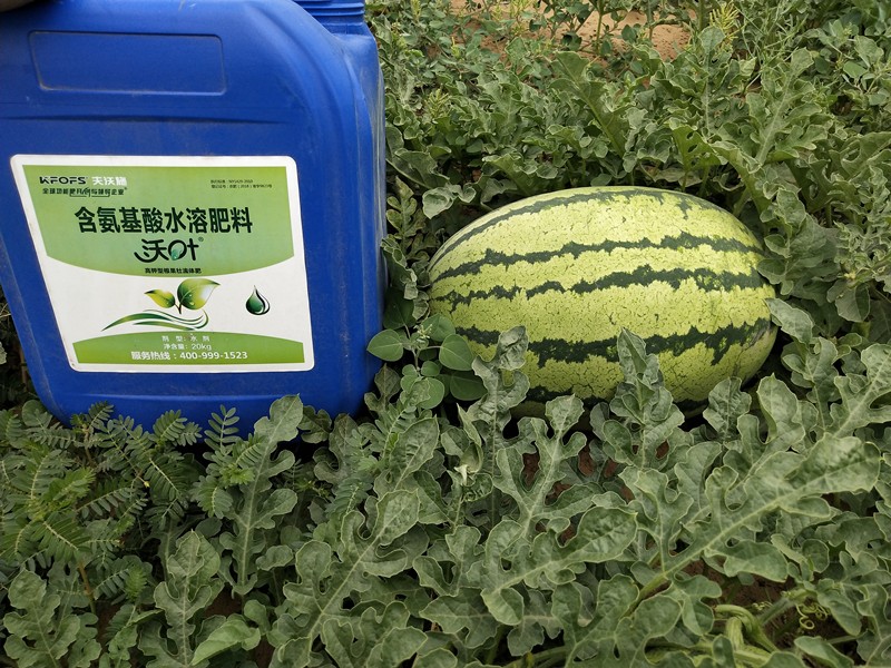 教你挑選一款有核心競(jìng)爭(zhēng)力的水溶肥品牌！
