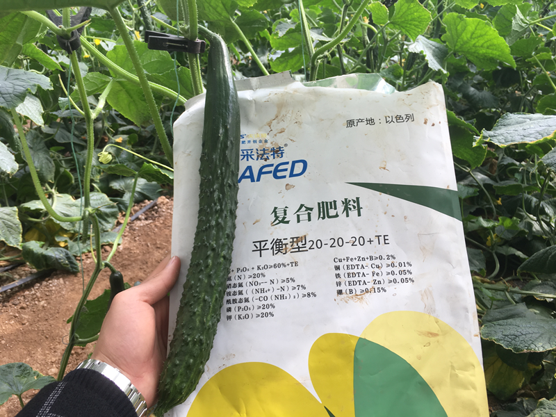 水溶肥和復(fù)合肥到底哪種好？
