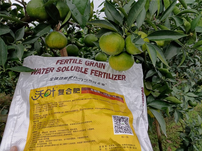 顆粒水溶肥，你不可錯過的好產(chǎn)品