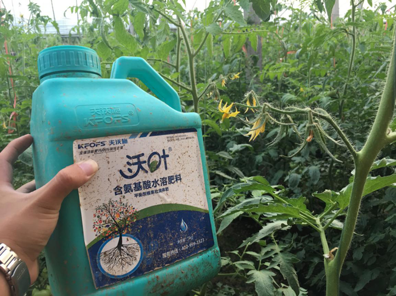 水溶肥如何在冬季使用？