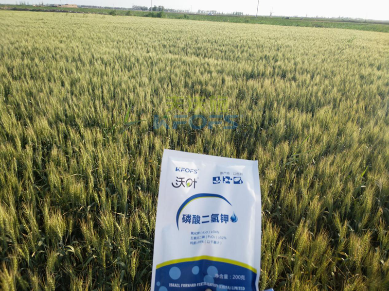 磷酸二氫鉀適合那些作物？