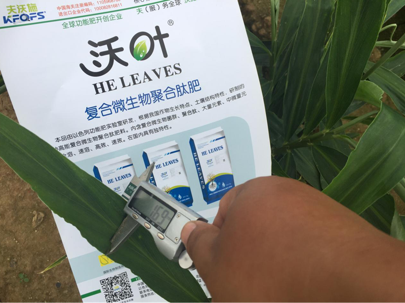 都說微生物菌劑好，到底有啥用