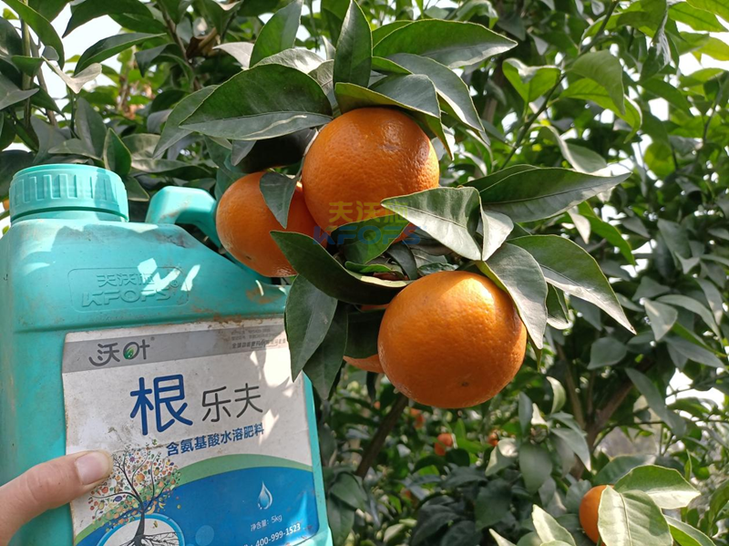 果樹(shù)春季施肥最佳時(shí)間，要把握?。? title=