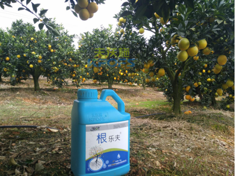 如何正確使用生根劑？