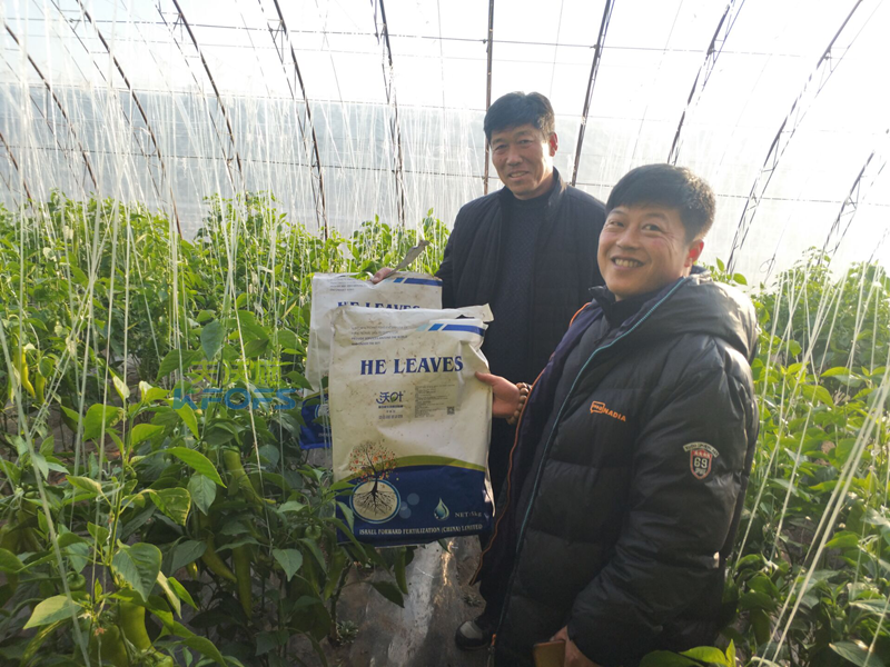 微生物菌劑是依靠什么在市場中迅速火爆起來？