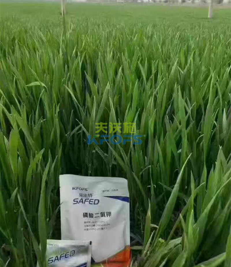 何為好的磷酸二氫鉀？