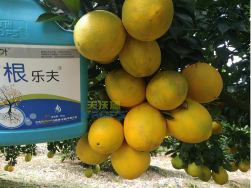 果樹沖施肥的方法和時間？