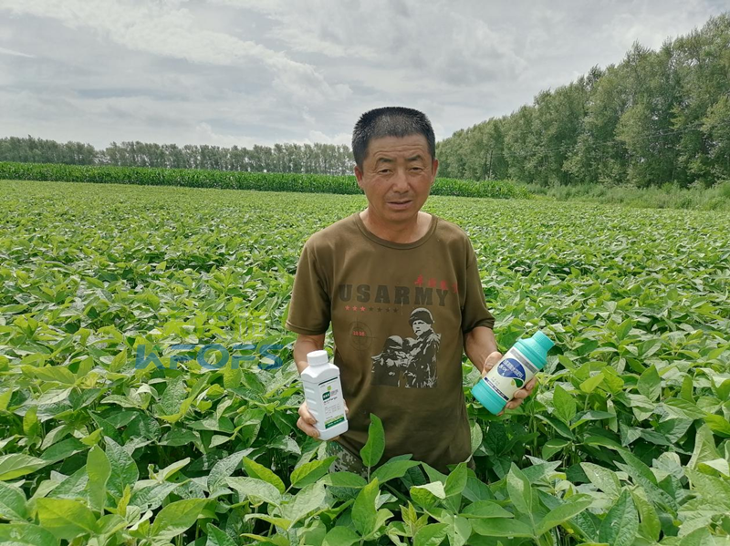 除草劑藥害，為什么安法戈可解？