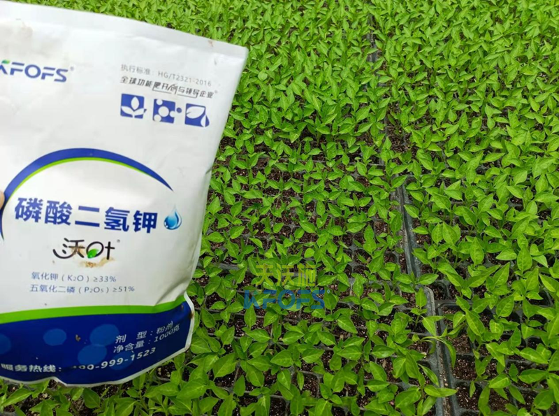 磷酸二氫鉀的使用方法，沃葉為例