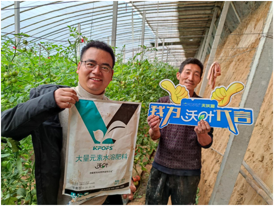 水溶肥那一個廠的好！