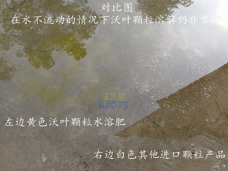 顆粒水溶肥哪個(gè)品牌好？