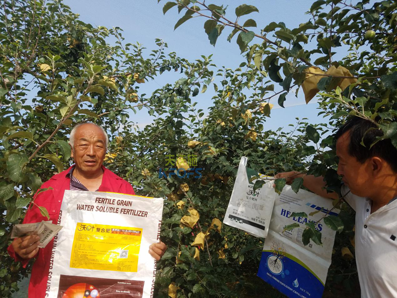 蘋果樹施什么肥好？