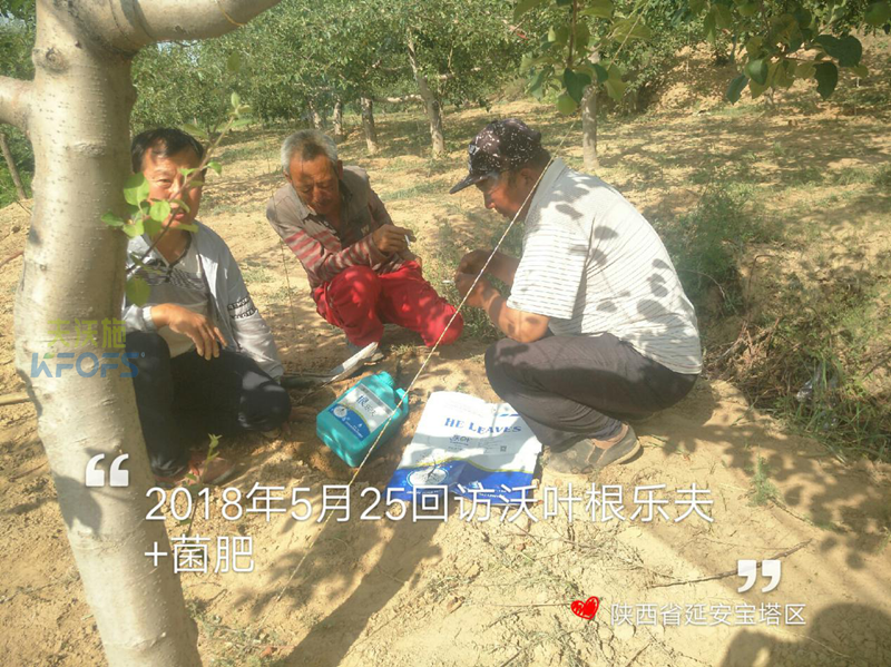 生根劑使用方法！