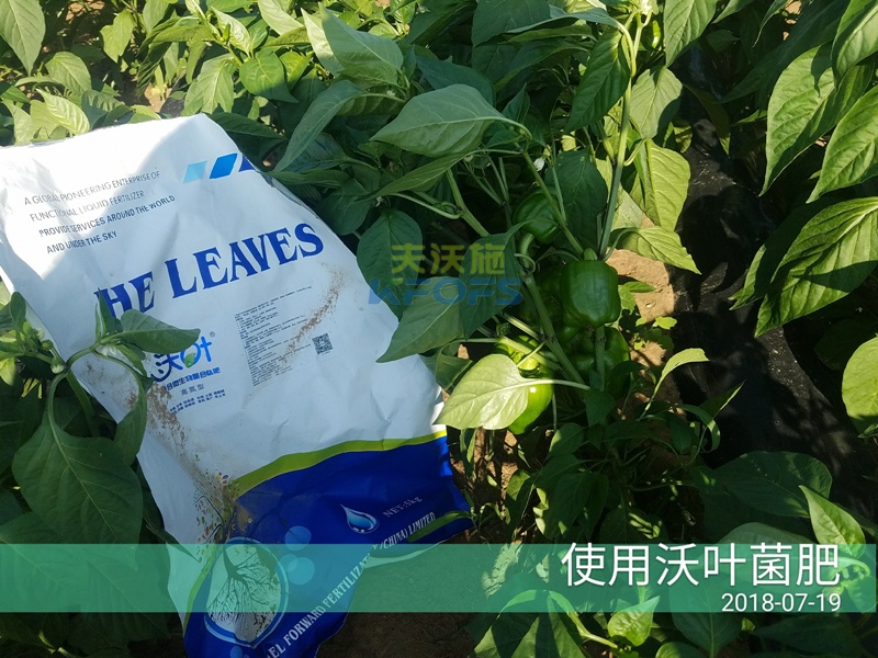 生物菌肥作用？